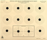 5 Meter Air Rifle Ten Bullseye