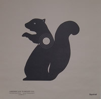 Squirrel Animal Silhouette Target