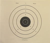 Police L Match Law Enforcement Pistol Target